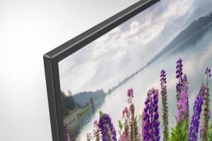 Vivid lavender flowers in full bloom beside a sleek black TV screen showcasing scenic mountain views, highlighting modern home entertainment and vibrant floral scenes.