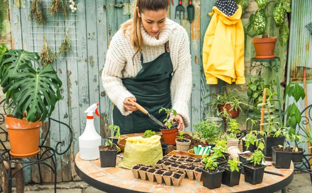 Healthy young woman planting seedlings in gardening pots on patio during sale event, focus on gardening and outdoor sale discounts.