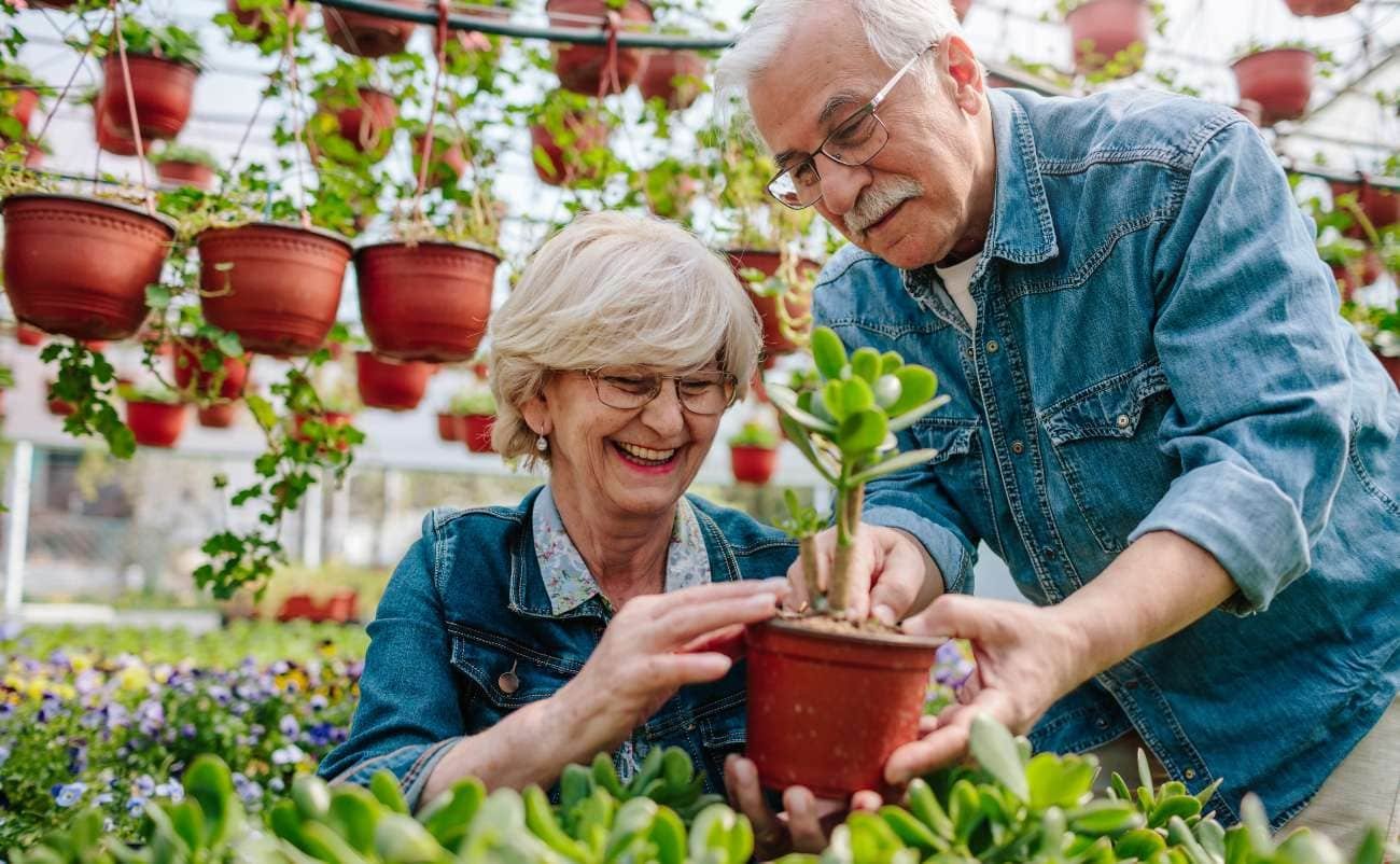 Best Home Depot Gardening Sales for a Blooming Garden