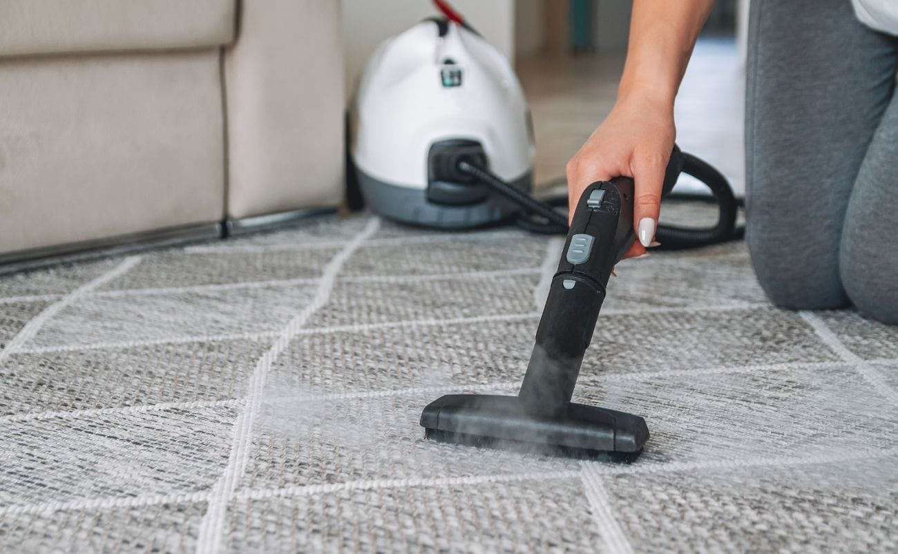 Best Portable Carpet Cleaning Solution for 2025