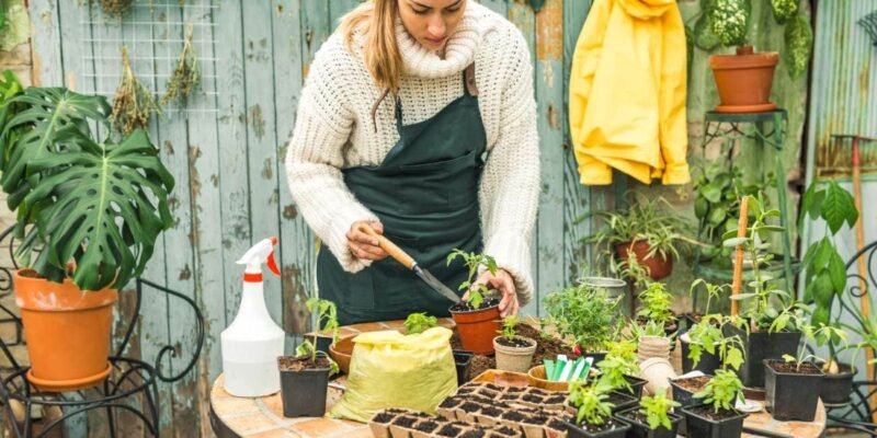 Unlock Your Green Thumb: A Complete Guide to Home Depot Gardening Center