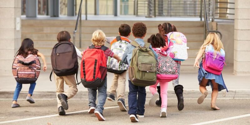 10 Best School Bags for 2025: Stylish, Durable, and Perfect for Every Student!