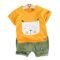 Boys Premium Cotton T-Shirt and Shirts