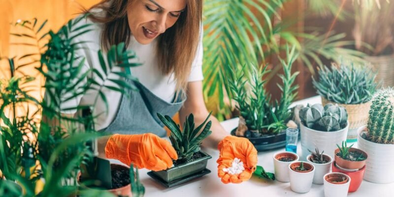 Transform Your Garden: Top Home Depot Gardening Tips for a Thriving Oasis