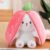 Jiada Super Soft Toy 25CM