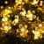 PGR Online Home Décor Lights Decorative Rice Purple Light 15 Meter