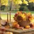 Check Amazing Thanksgiving Pictures