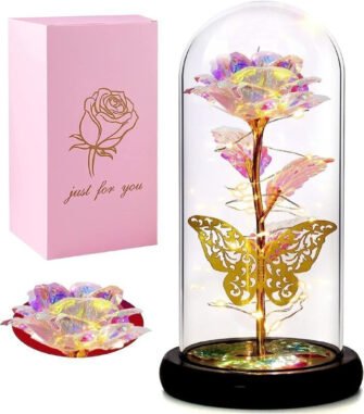 Shreeshann Artificial Flower, Lamp Gift Set
